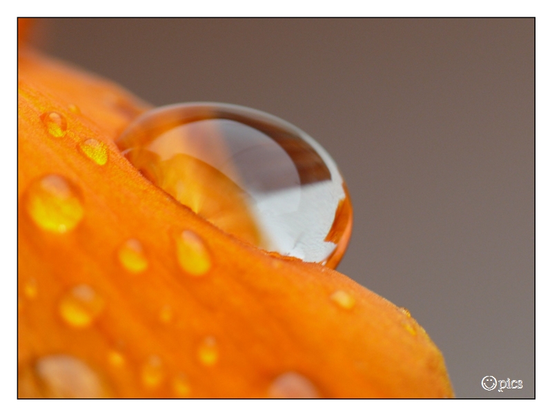 Raindrops II