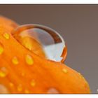 Raindrops II