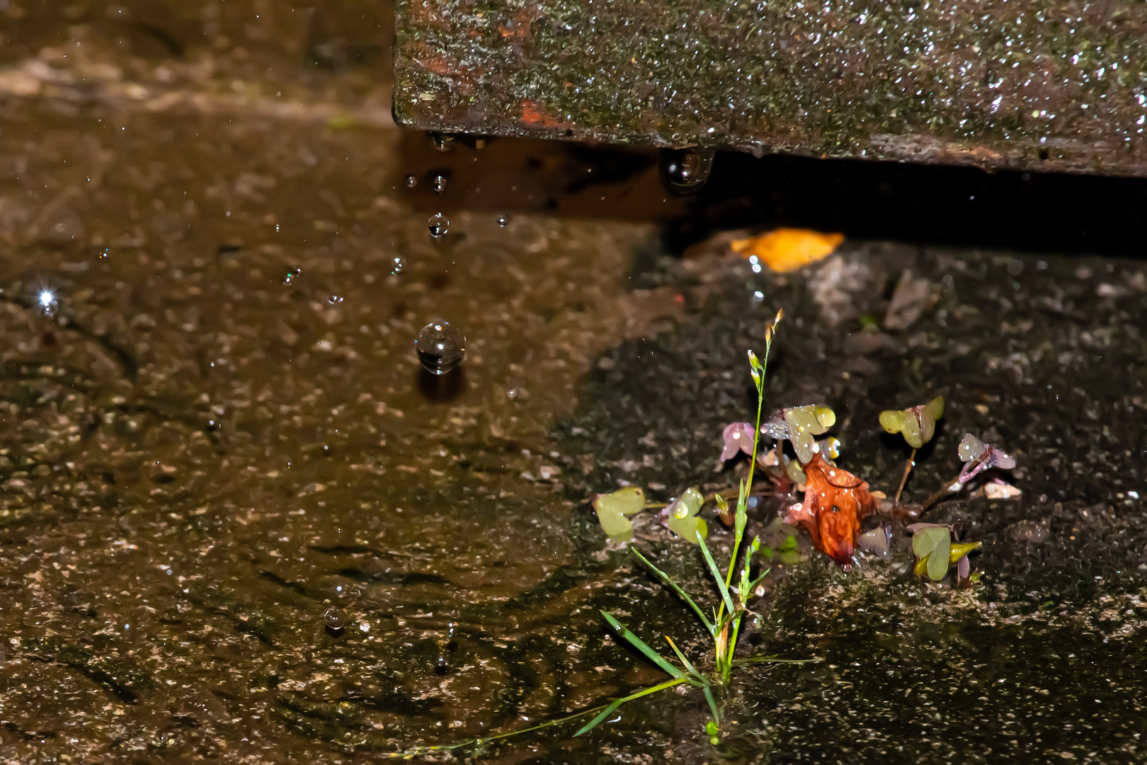 Raindrops in the Night