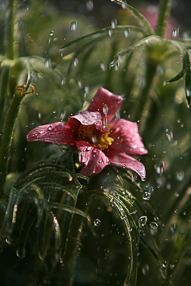 Raindrops keep fallin´ on her head