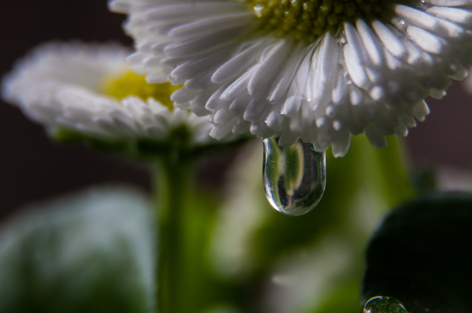 Raindrops keep falling on my Head ....