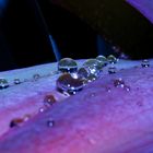 Raindrops on a bud