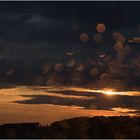 raindrops on my window