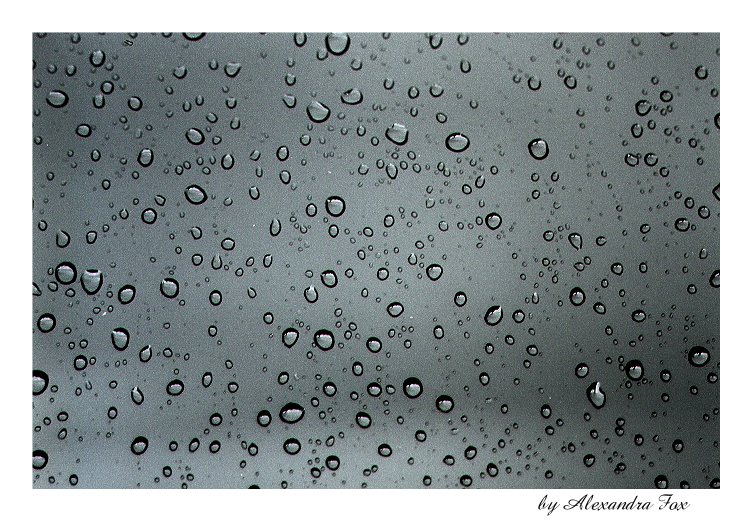 raindrops on the window