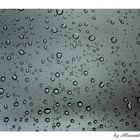 raindrops on the window