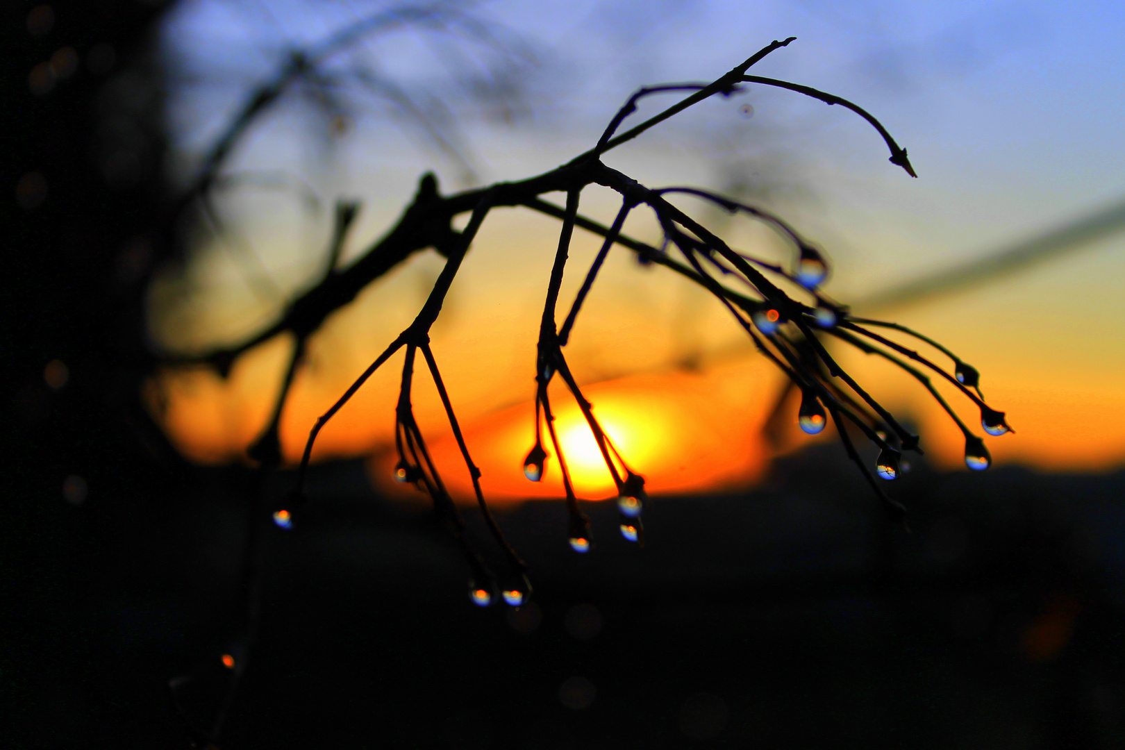 RAINDROPS www.klemensfergin.de.tf