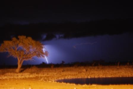 Rainfalls in Etosha