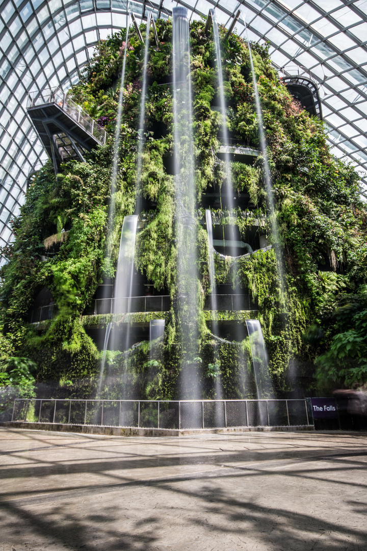 Rainforest Dome