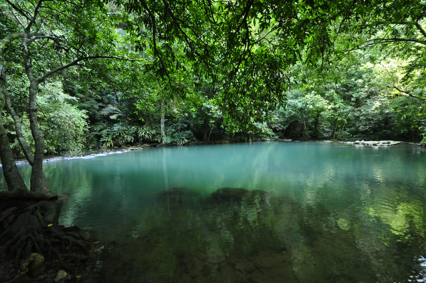 Rainforest lake