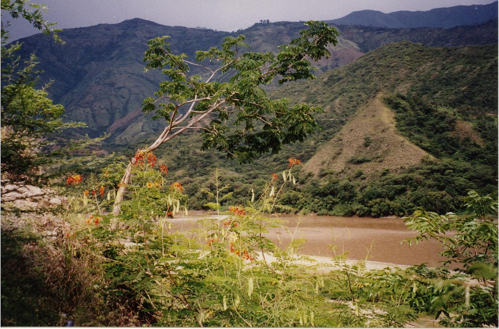 Rainforest river in Northern Antioquia