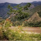 Rainforest river in Northern Antioquia