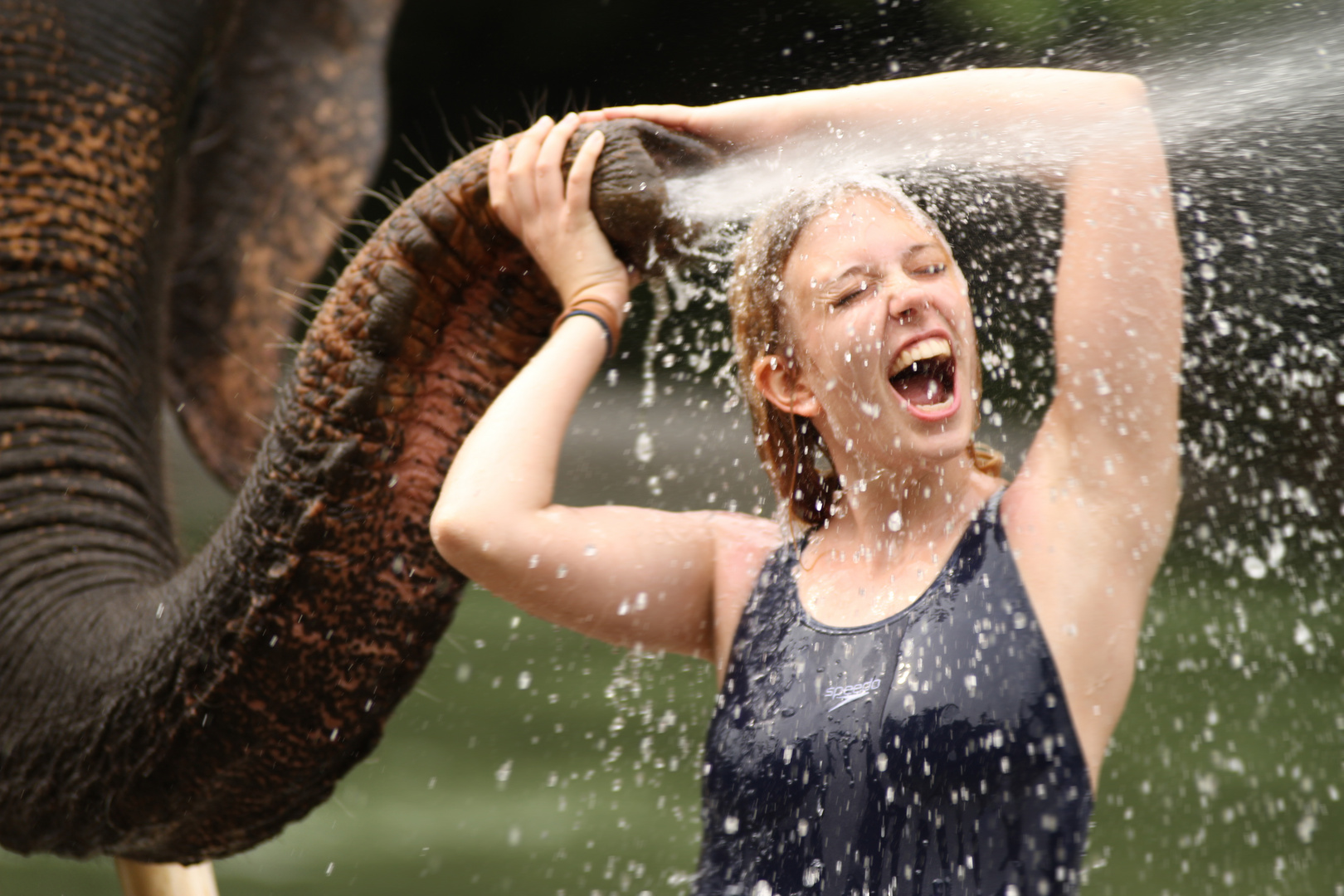 Rainforest Shower