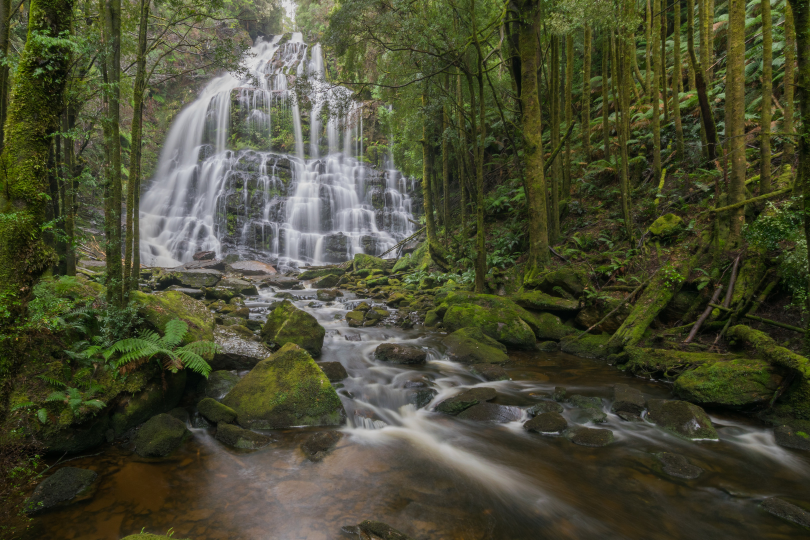 Rainforrest Waterfall