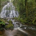 Rainforrest Waterfall