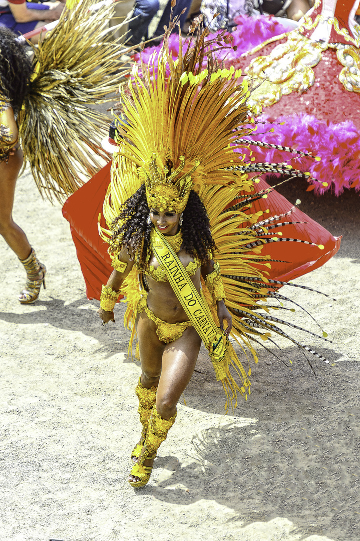 Rainha Do Carnaval