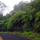 Raining at Kawah Ijen starting point