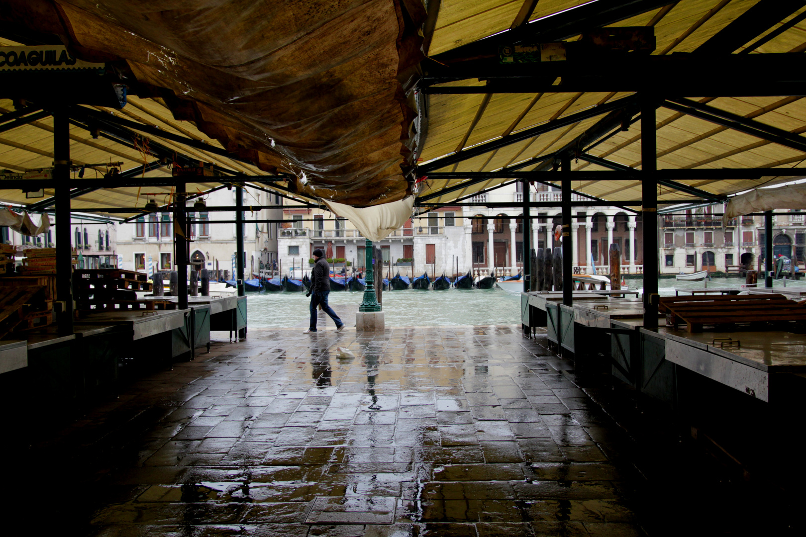 Raining cats and dogs in Venice (5)