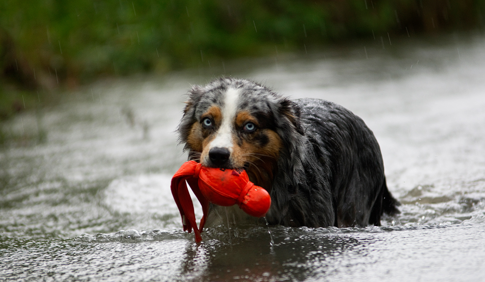 raining day