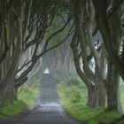 raining in " dark hedges "