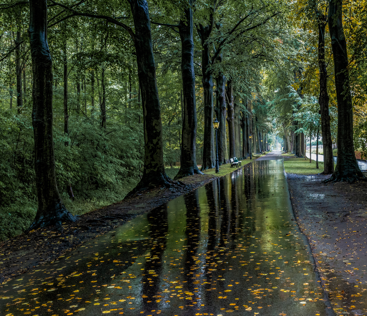 Raining in the park