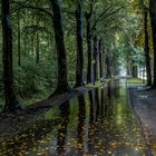 Raining in the park