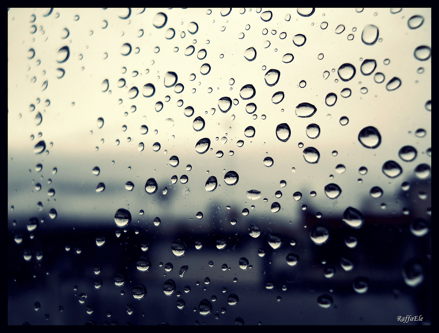 Rain's Tears LacriMe di PioGGIA Foto Immagini macro e close up, altre macro, naturalmente Rain's Tears LacriMe di PioGGIA Foto Immagini macro e close up, altre macro, naturalmente
