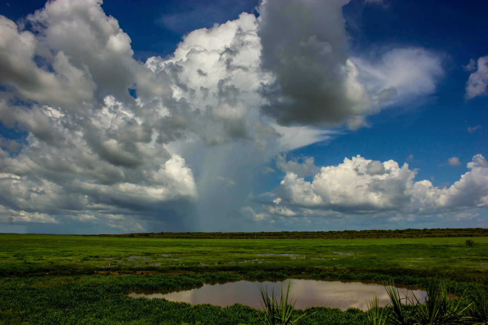 Rainshower, Fogg Dam Reserve, Wetlands