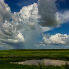 Rainshower, Fogg Dam Reserve, Wetlands