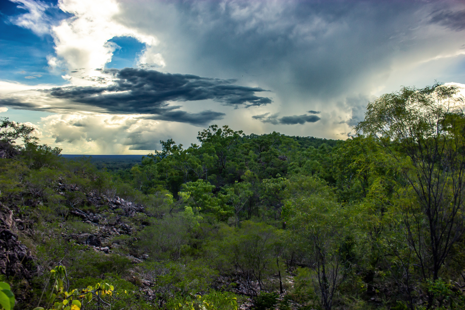 Rainshower over Litchfield Nationalpark