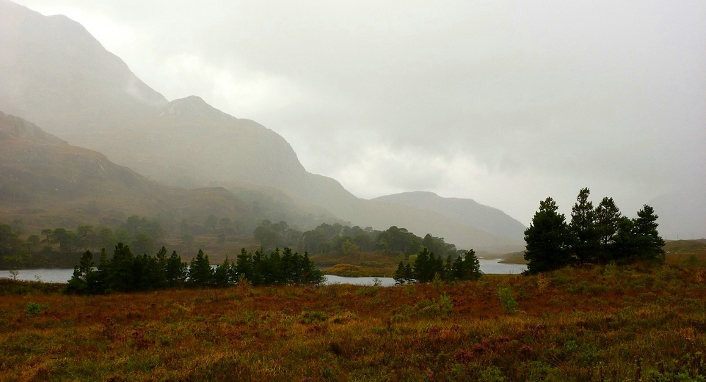 Rainswept Glen Torridon