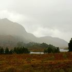 Rainswept Glen Torridon