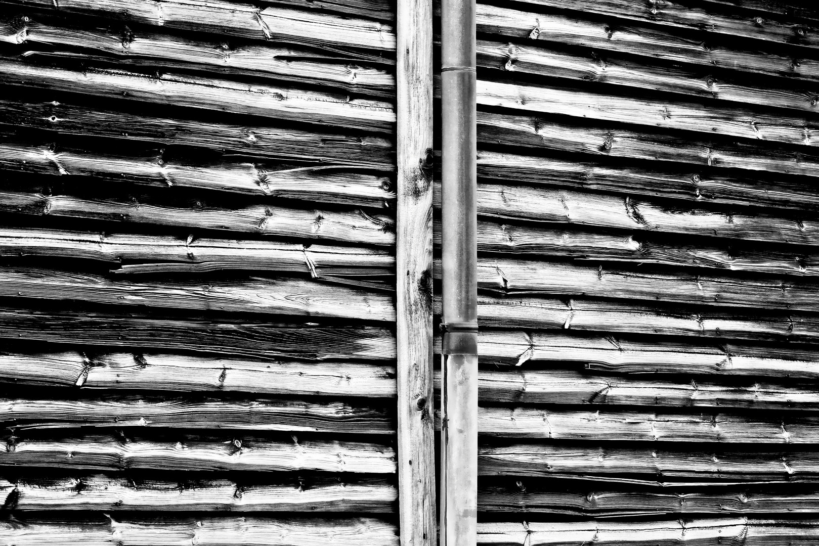 Rainwater downpipe on a shed wall