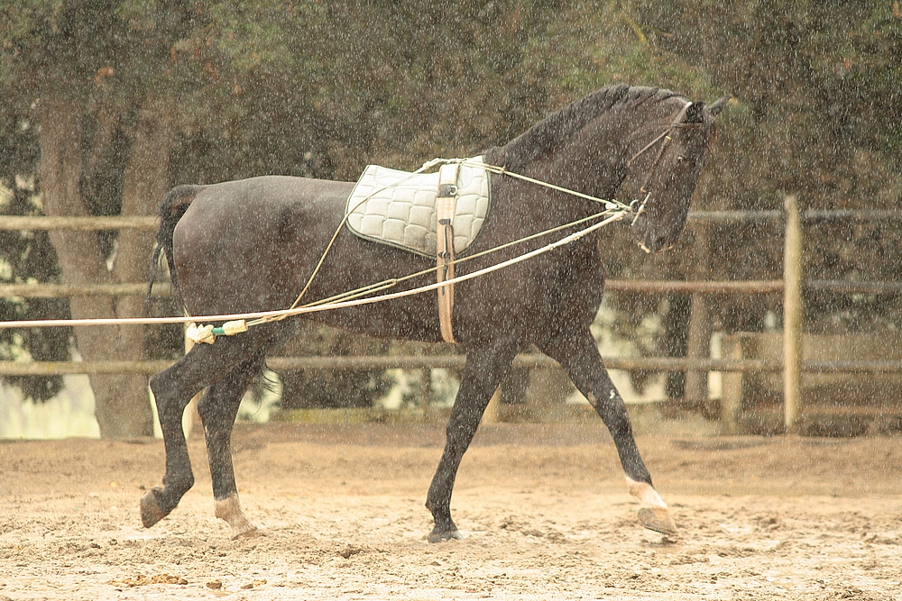 Rainy Day