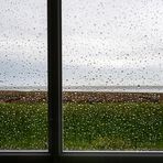 Rainy Day