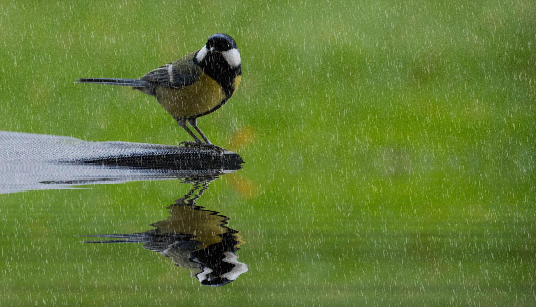 rainy day