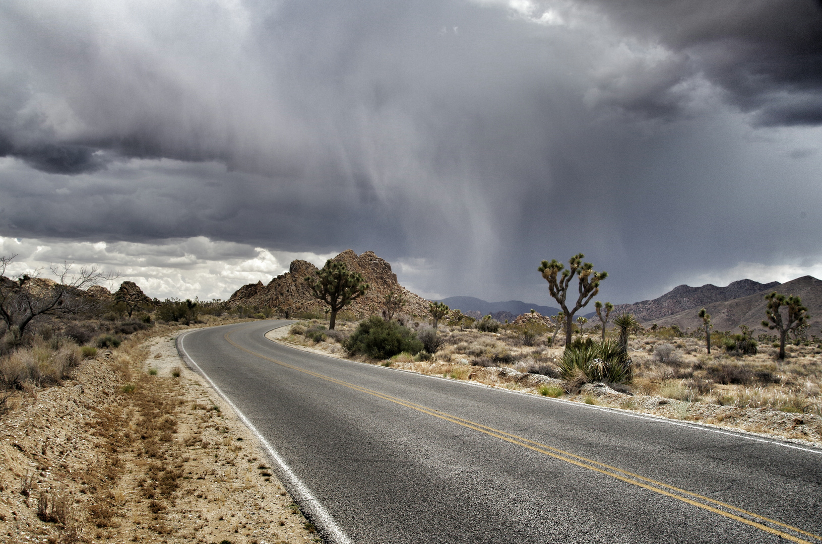 Rainy Day At Yoshua Tree NP