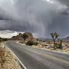 Rainy Day At Yoshua Tree NP