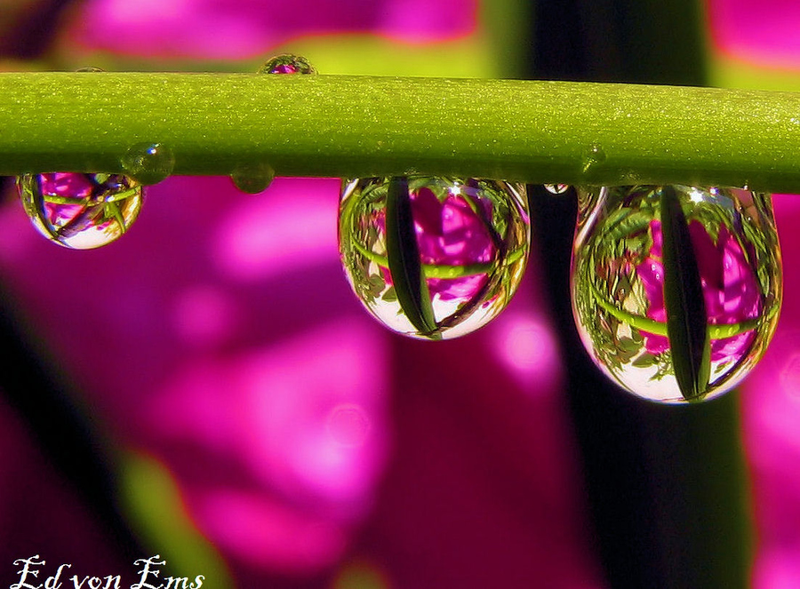 Rainy day I