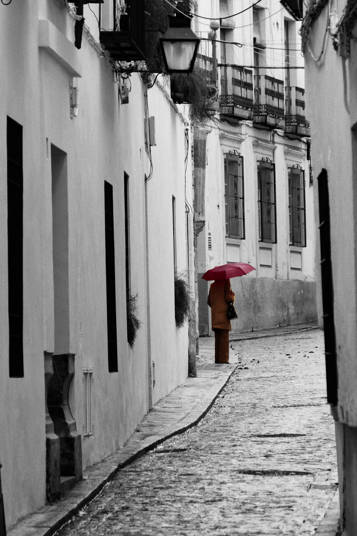 rainy day in Córdoba