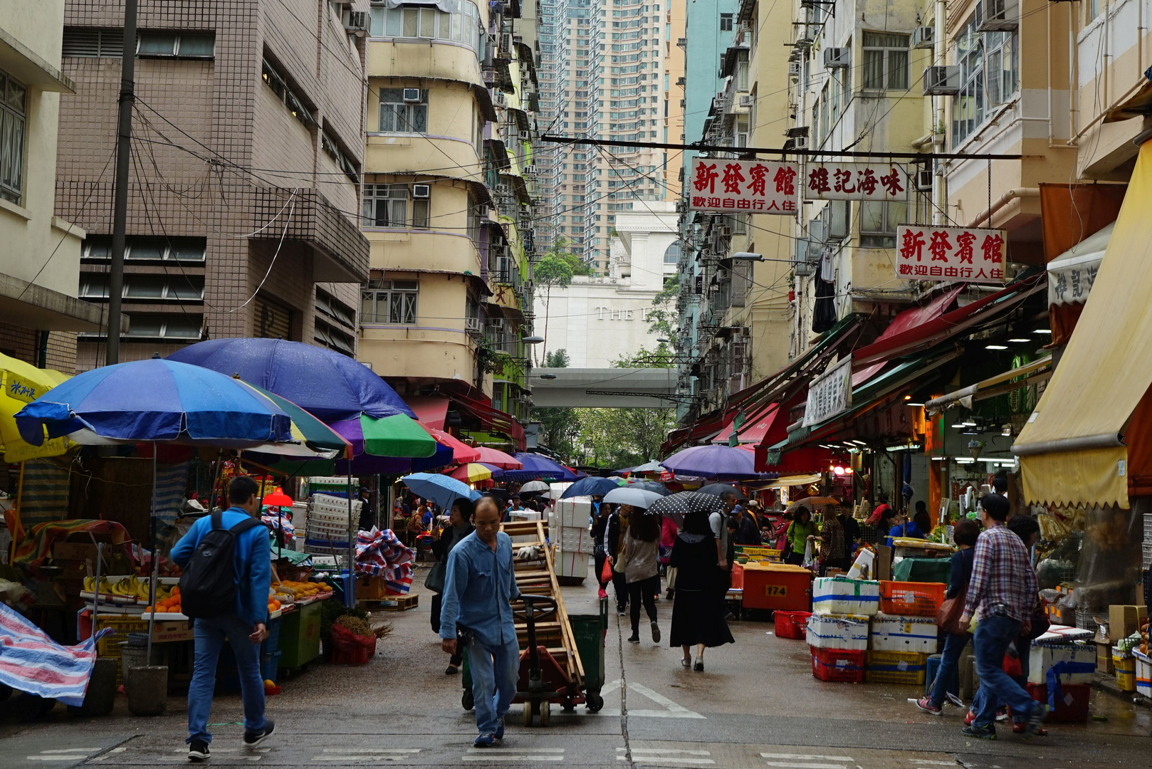 Rainy day in Hong Kong  4