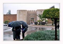 rainy day in Marrakesch