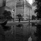 Rainy day in NYC