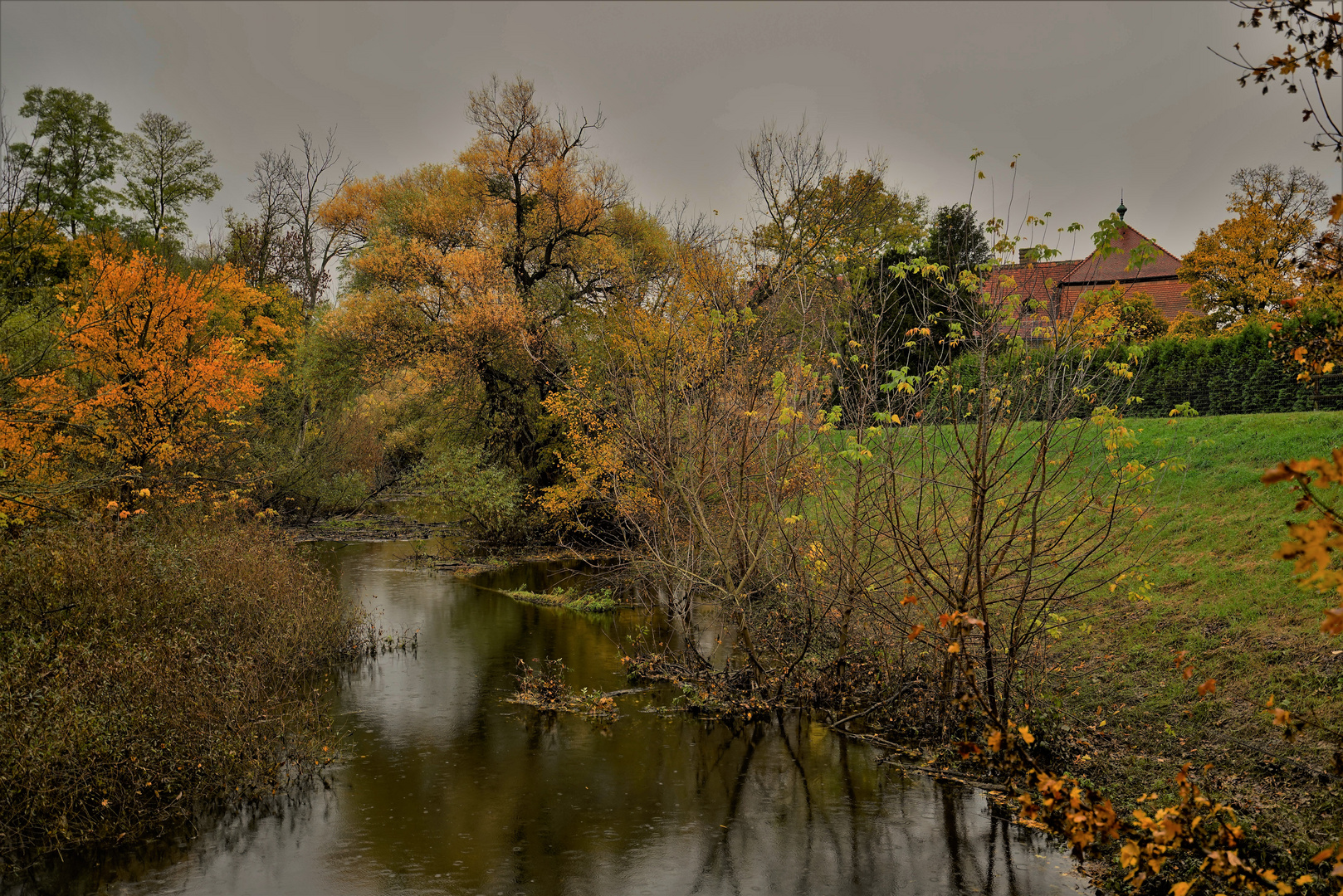 Rainy day swamp 3