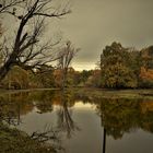 Rainy day swamp 6