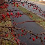 Rainy December day