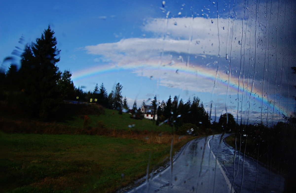 Rainy evening