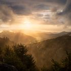 Rainy evening in Blackforest