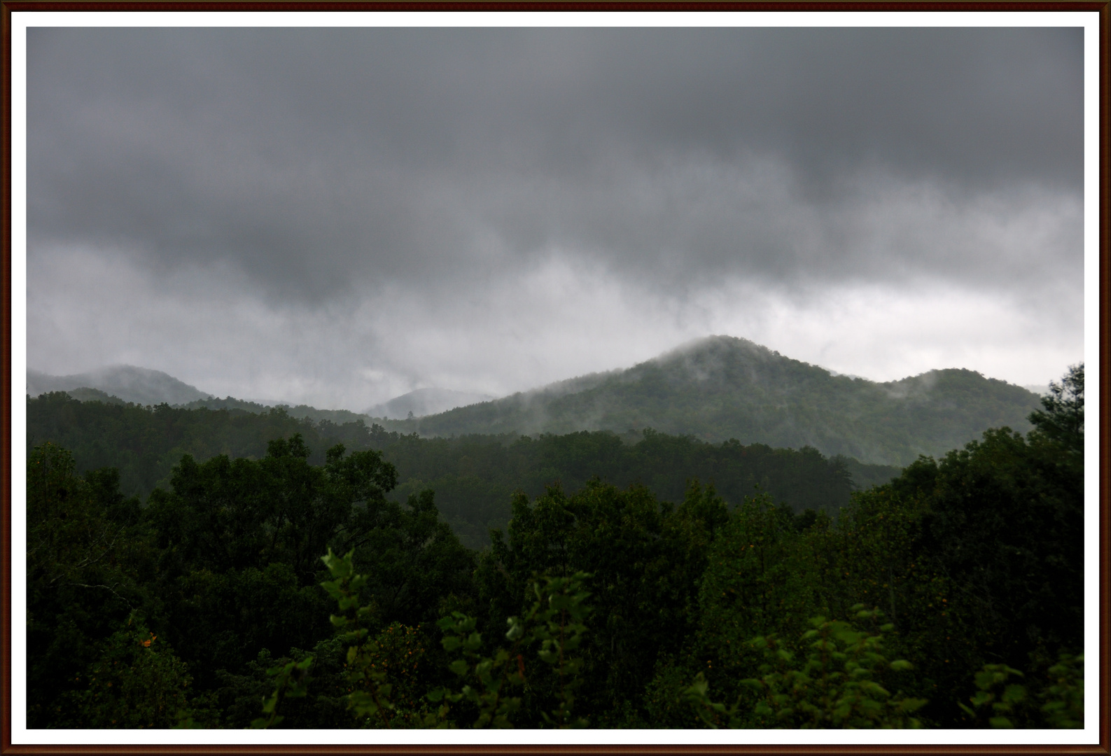 Rainy Overlook