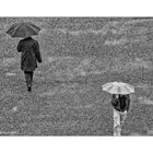 Rainy Path 