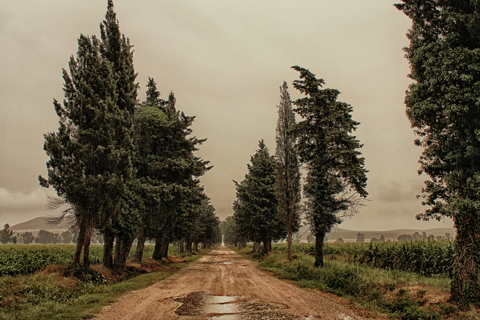 Rainy road